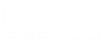 My Website