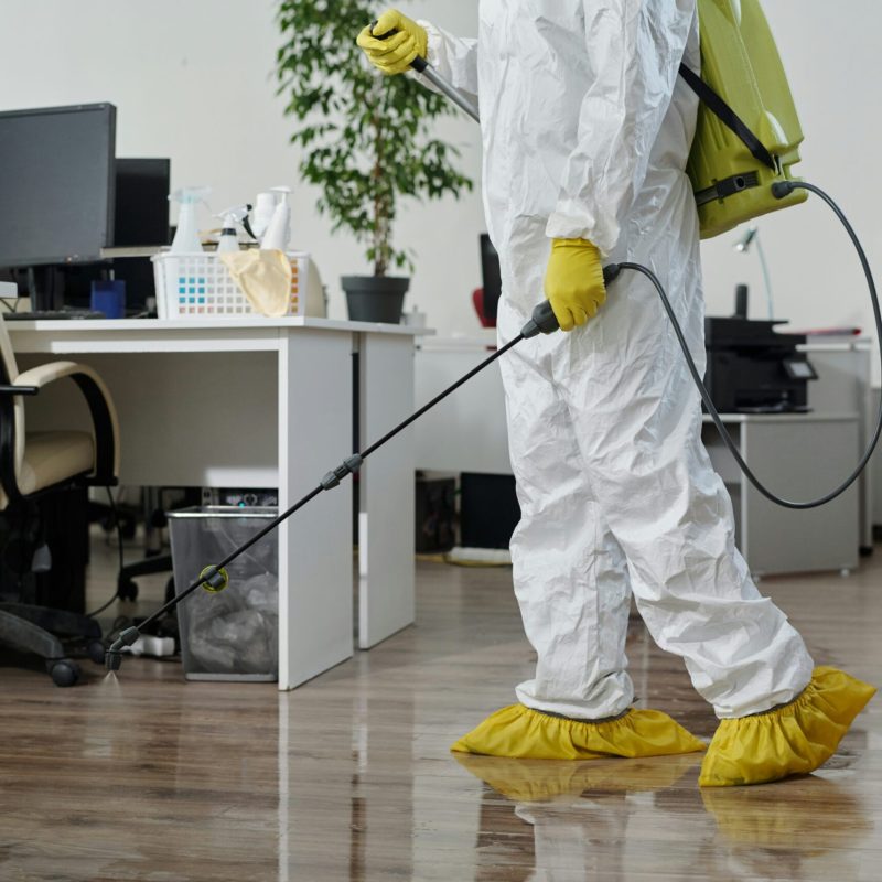 Commercial Pest Control