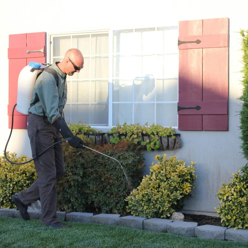 Residencial Pest Control
